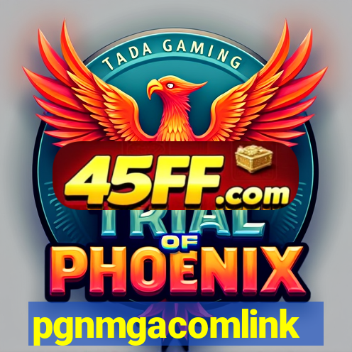pgnmgacomlink