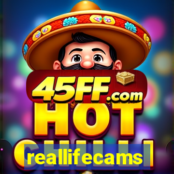 reallifecams