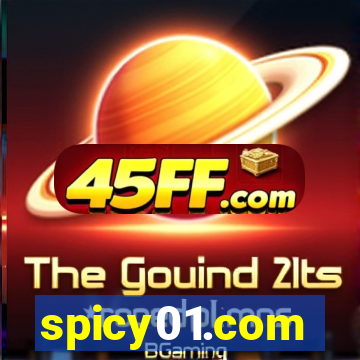 spicy01.com