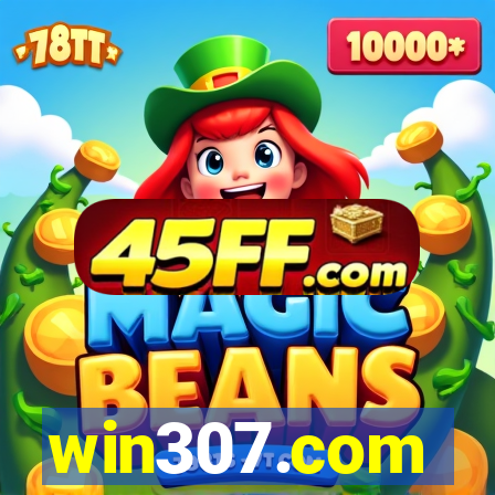 win307.com