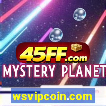 wsvipcoin.com