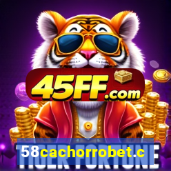 58cachorrobet.com