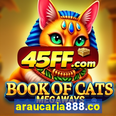 araucaria888.com