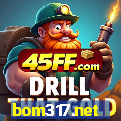 bom317.net