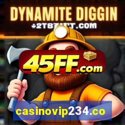 casinovip234.com