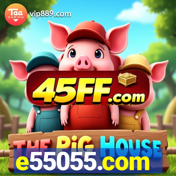 e55055.com