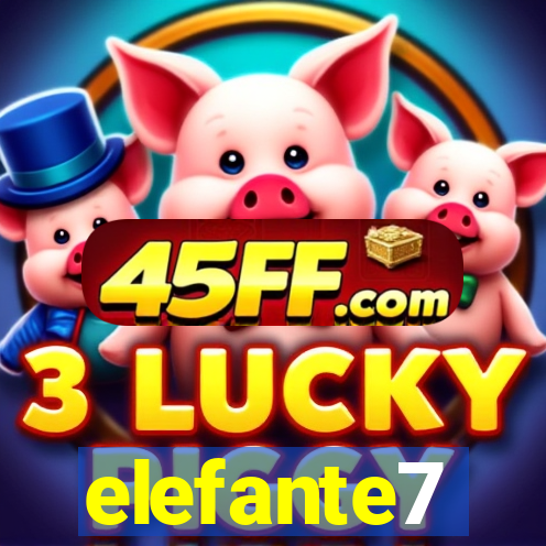 elefante7
