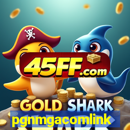 pgnmgacomlink