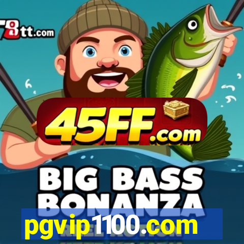 pgvip1100.com