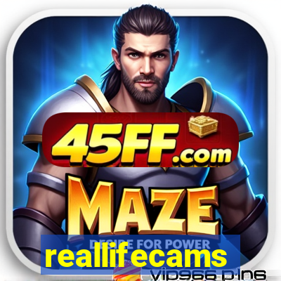 reallifecams