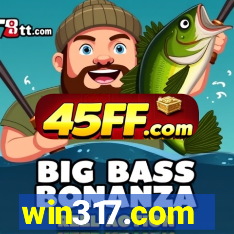 win317.com